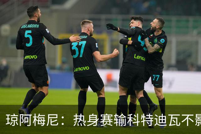 琼阿梅尼：热身赛输科特迪瓦不影响法国，可以说是一次小小的提醒