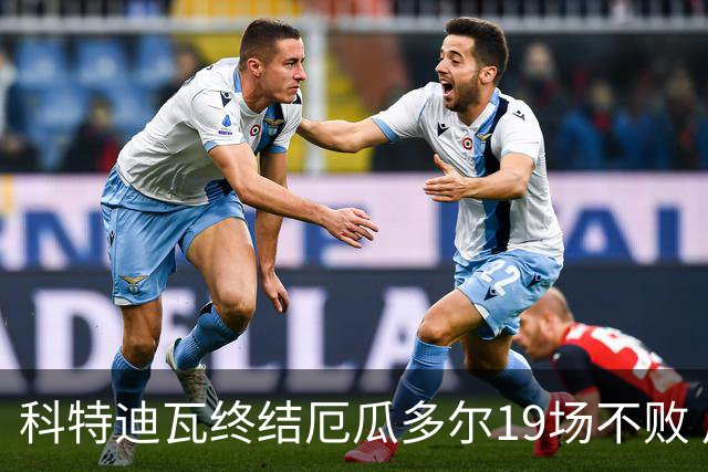 科特迪瓦终结厄瓜多尔19场不败 用韧性拿到世界杯开门红
